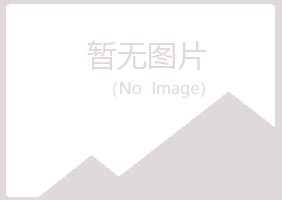 大新县海安美容有限公司